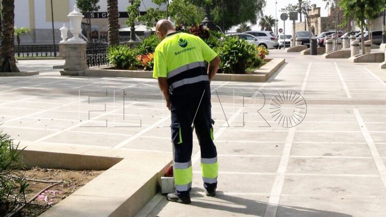 plus-pantalla-ayuda-vivienda-borrador-convenio-servilimpce